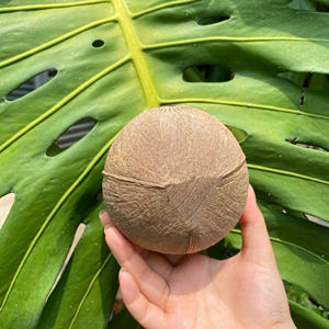 100% Ensemble de bols en noix de coco polie naturelle Ustensiles de cuisine écologiques avec logo personnalisé Artisanat à bas quantité minimale de commande Vietnam, y compris cuillère fourchette - Product Image 4