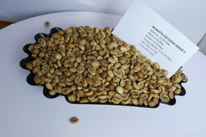 กาแฟโรบัสต้าพรีเมียม ต้นกำเนิดจากเวียดนาม คั่วอ่อน รสขม เกรดพรีเมียม สำหรับใช้ในอุตสาหกรรมอาหารและเครื่องดื่ม - Product Image 5