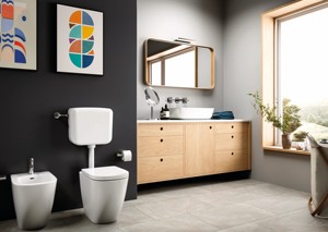 High Quality Industrial ABS Body Quick Silent <b>Flush</b> <b>Toilet</b> Tanks Wall Hung Mounted Includes Start Stop Water Economizer <b>Button</b> - Product Image 3
