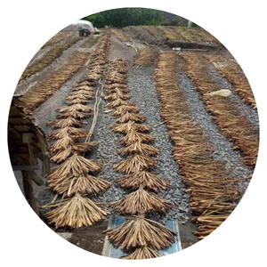 LE VIETNAM EXPORTE DES HYACANTS D'EAU SÉCHÉS EN GRANDES QUANTITÉS À BON PRIX - Product Image 4