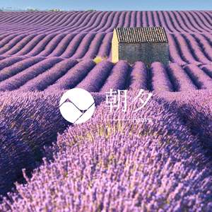 Varillas de Incienso de Lavanda de Bajo Humo 40g - Product Image 3