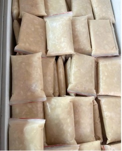 Pulpe de Graviola congelée de qualité supérieure exportation du Vietnam pour smoothies, jus, crème glacée, ingrédients naturels pour desserts - Product Image 4