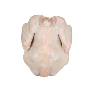 La mejor calidad, saludable y natural, CONGELADO ENTERO, aves de corral, CONGELADO ENTERO, PAVO - Product Image 5