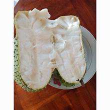 INGREDIENTE A BASE DE PLANTAS DE URENTA CONGELADA DE FUENTE PURA PARA UN ESTILO DE VIDA SALUDABLE Y LIMPIO - Product Image 2