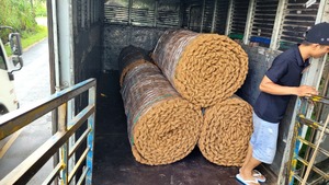 Premium Quality Natural Coconut Coir Mat Pathway for Garden and Outdoor Landscaping Coir Net Exportation CHEAP PRICE 2025 - Product Image 2