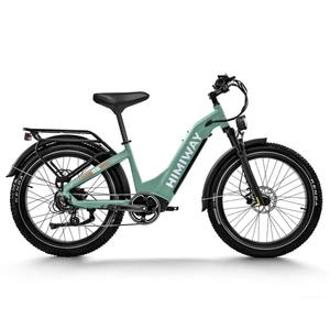 Vélo électrique tout-terrain 2026 D5 (Zebra) avec garantie de 2 ans, origine américaine - Product Image 2