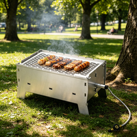 Barbecue pliant en acier inoxydable, portable, compact, pour le camping en plein air, la randonnée, la pêche et les camping-cars