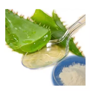 Exportateur indien de poudre d'extrait d'aloe vera pur et naturel de qualité cosmétique supérieure à un prix raisonnable - Product Image 2