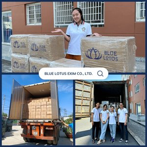 Fruta Longan seca lista para comer de Vietnam, un aperitivo conveniente y delicioso para todas las edades, la mejor calidad de exportación a granel - Product Image 3