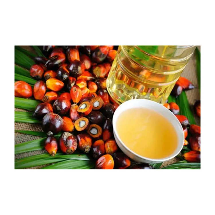 Premium kalite sebze RBD palmiye yağı
