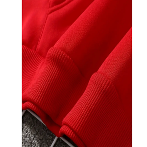 Sudadera con capucha de algodón orgánico para hombre 100%, Jersey bordado, diseño de gran tamaño con estampado orgánico, nuevo estilo para sudadera de otoño - Product Image 2