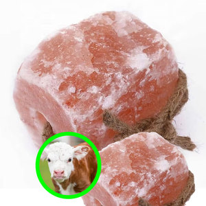 Sel à lécher pour bétail de ferme | Bloc naturel de l'Himalaya pour boeufs - Product Image 6