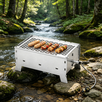 Barbecue à gaz pliable portable en acier inoxydable, antirouille, facile à nettoyer, sans outils, pour balcon et camping