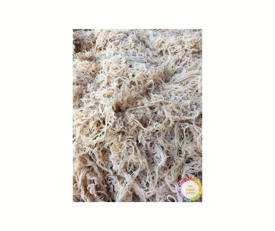 Vietnamese Export Cottonii Seaweed: Premium for Culinary and Cosmetic Use, From Top Suppliers for Global Industry Needs