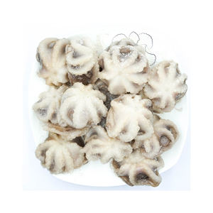PULPO BEBÉ CONGELADO ENTERO LIMPIADO INDIVIDUAL RÁPIDO CONGELADO BUENA CALIDAD ORIGEN - Product Image 4
