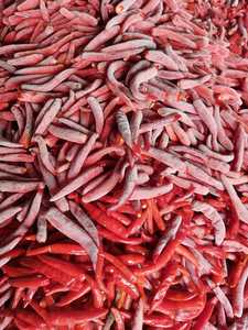 พริกแช่เย็น/คุณภาพเครื่องเทศ/ส่วนผสมที่สะอาด/จากเวียดนาม - Product Image 3