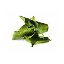 Procesamiento crudo de hojas de lima verde secas para uso en cocina e infusión - Product Image 3