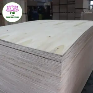 更新硬木建筑和房地产相思桉树芯高质量尺寸包装胶合板越南