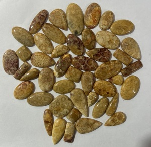 Prix de gros Cabochon de corail fossile fabrication de bijoux faits à la main pierre de cristal de guérison approvisionnement en vrac corail fossile pierre précieuse en vrac, - Product Image 3