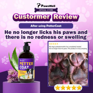 Petavit sampo anjing & kucing 500mL, Pelembab penghilang bau pelembap mantel halus/halus mudah dibersihkan proteksi kutu & Kutu - Product Image 4