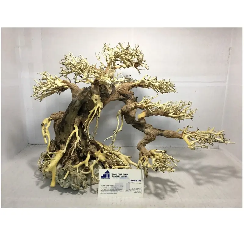 Bonsai akuarium akuatik 2023 desain laris Bonsai kayu apung untuk Akuarium & Aksesori akuarium WhatsApp: + 84 961005832