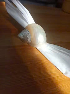 Turbo Shell Napkin <b>Ring</b> Handmade in Vietnam Premium Sea Shell Decor Perfect for Weddings Coastal Parties and Classy Dining - Product Image 6