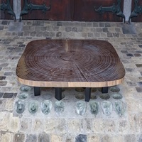 Table basse élégante en acier inoxydable, de haute qualité, de forme ovale, design moderne, portable, taille personnalisée disponible, table gigogne