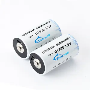 D Size Oplaadbare Batterijen D Cel Lr20 6000Mah Nimh Oplaadbare Batterij Met Batterij Opbergdoos Voor Speelgoed