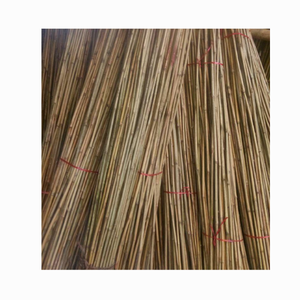 Postes de espesor/variedad de caña para estacas de jardín de construcción Palos de bambú natural amarillo tratado para soporte de plantas - Product Image 1