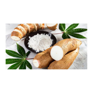 Almidón de yuca pregelatinizado a precio barato de fábrica - Product Image 6