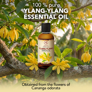 Aromatika Huile Essentielle d'Ylang-Ylang 100% Pure 100ml Aromathérapie Naturelle Huile de Fleur de Cananga Odorata Huile Essentielle Composée - Product Image 1