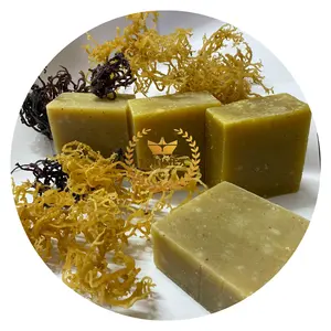 Pure Raw Sea moss Soap / Irish Sea Moss Soap 100% Nature Handmade Made in Vietnam Best quality for Exporting