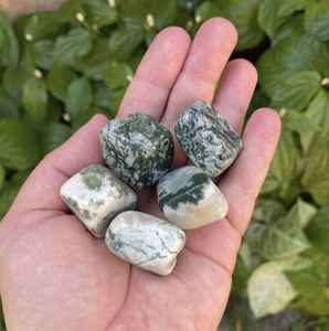 La mejor ágata de árbol pulido, piedras talladas de cuarzo caído, piedras preciosas naturales de Feng Shui para decoración del hogar, efectos curativos de meditación - Product Image 4