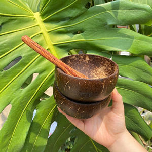 Juego de cuencos y cucharas de cáscara de coco con logotipo personalizado al por mayor, cuenco de cáscara de coco pulido para regalos de empresa - Product Image 1