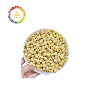 Semillas de Loto Secas OEM, Frutos Secos de Loto, Proveedor de Exportación a Granel, Semillas de Loto Crujientes Peladas - Product Image 3
