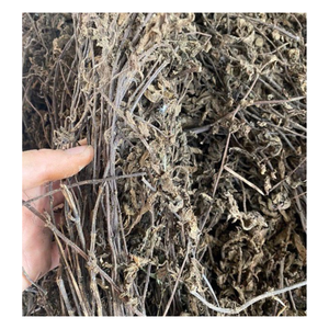 Gelatina de hierba seca, hoja seca de Platostoma Palustre/hoja de gelatina de hierba fresca natural seca con alta calidad - Product Image 2