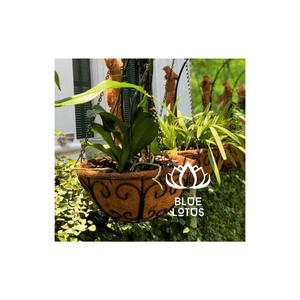 Vietnam Wholesale Hanging Planter Coir <b>Pot</b> For Plant Green <b>Tree</b> Flower Mulch Biodegradable Seed Starter <b>Pot</b> - Product Image 1