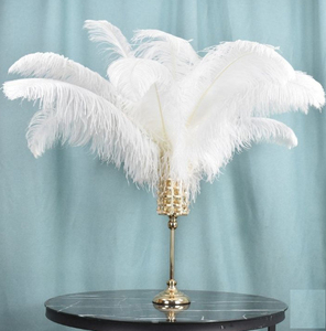 <span class=keywords><strong>Plumas</strong></span> de avestruz naturales blancas para fiesta, Carnaval, hogar, boda, centro de mesa, jarrón de Navidad, decoración de vacaciones, artesanía DIY Floral - Product Image 1