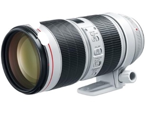 Lente 70-200mm f-2.8L EF IS III USM - Product Image 1