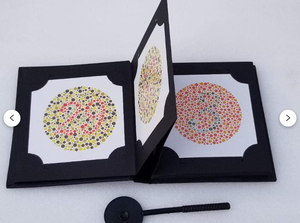 LIVRE DE TEST DE VISION DES COULEURS ISHIHARA POUR LA DÉFICIENCE DE COULEUR 24 PLAQUES AVEC MANUEL D'UTILISATION... - Product Image 5