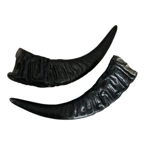Cuernos de vaca naturales artesanales Regalos únicos y piezas decorativas - Product Image 6