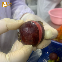 Biologische Thaise Mangosteen Zoet en Sappig Koningin der Vruchten met Tropische Smaak Vers Verpakt in Doos Khey Taladthai Graad A