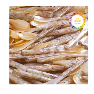 Cuchara de nácar hecha a mano, textura natural única y acabado brillante - Product Image 4