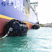 Defensas Neumáticas Marinas Flotantes D2.0L3.5m Yokohama para Barcos con Cadena y Red para Neumáticos