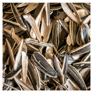 เมล็ดทานตะวันดิบจาก100% เมล็ดทานตะวันอบแห้งแบบธรรมชาติ - Product Image 1