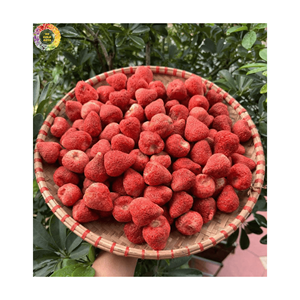 Collation de fruits à la fraise lyophilisée de marque privée | Granulés de fruits naturels FD en gros pour ingrédients alimentaires du Vietnam - Product Image 4