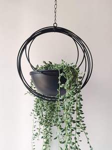 Jardinières suspendues rondes en fer chromé de haute qualité, design moderne, pour intérieur, extérieur, maison, hôtel, jardin, décoration, pots à fleurs - Product Image 3
