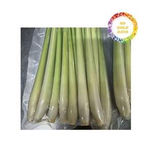 Citronnelle surgelée de haute qualité du Vietnam avec un arôme frais naturel, soigneusement coupée, traitée par IQF pour les commandes d'exportation en vrac - Product Image 2