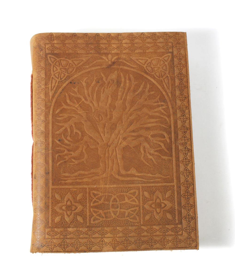 สีน้ำตาล