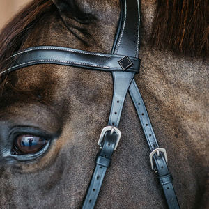 Nueva Llegada: Brida de Cuero Duradera para Caballo con Acolchado Suave y Colores Personalizados - Modelo SHER SONS SPORTS SSS-HB-907 para Entrenamiento y Exhibición - Product Image 4